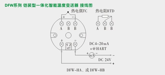 温度变送器,DFW智能温度变送器模块接线图 温度变送器,DFW智能温度变送器模块接线图